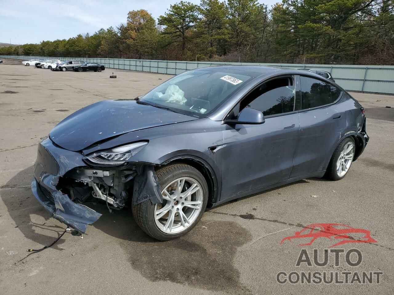 TESLA MODEL Y 2021 - 5YJYGAEE3MF113148