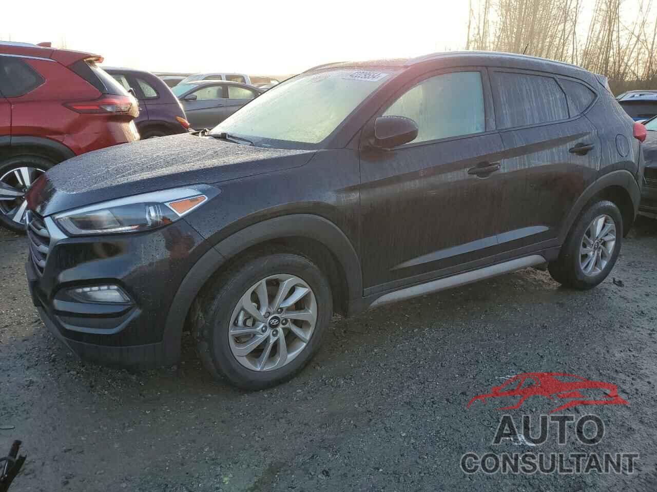 HYUNDAI TUCSON 2017 - KM8J3CA43HU319486