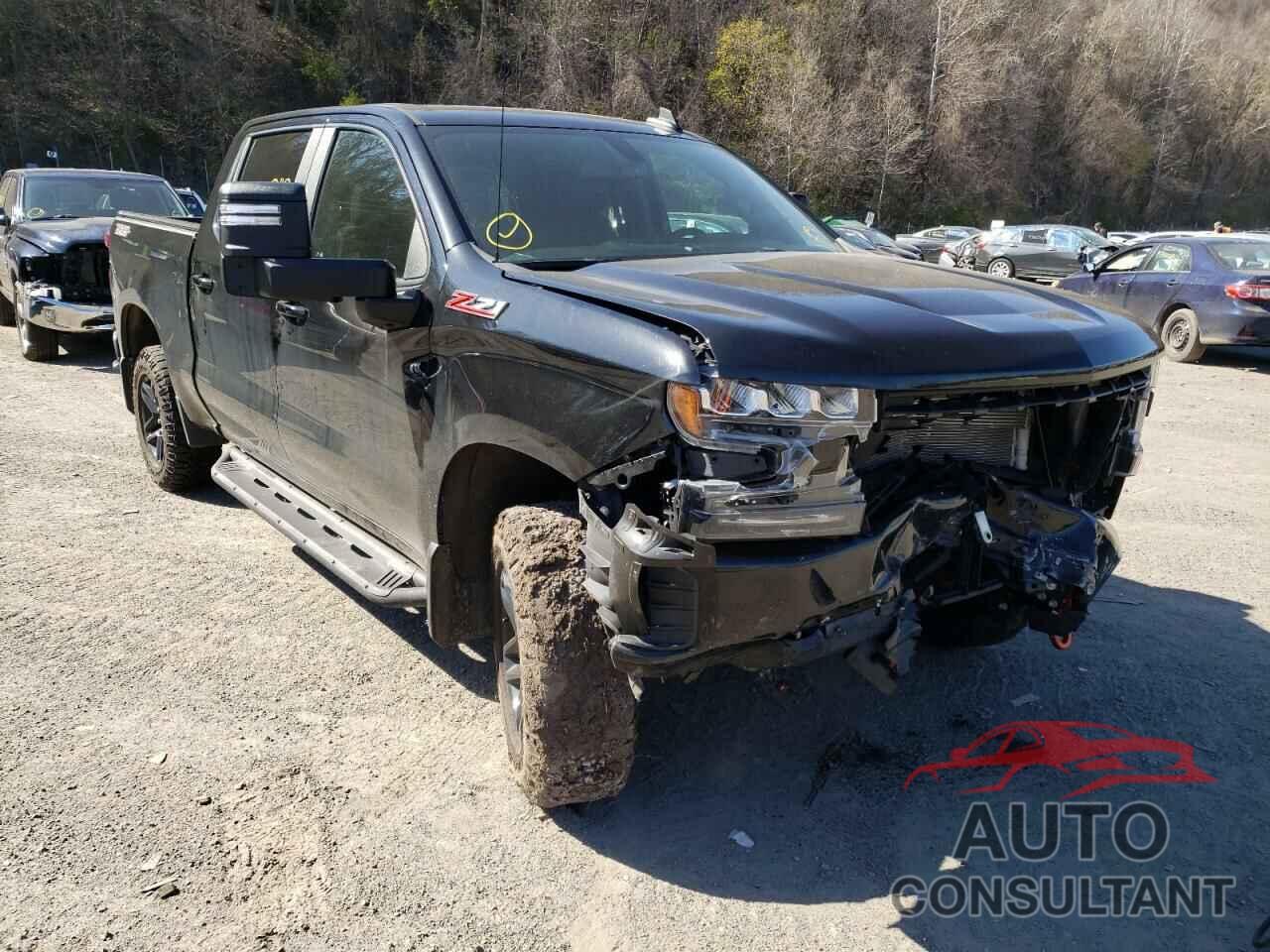 CHEVROLET SILVERADO 2021 - 1GCPYFED0MZ128889