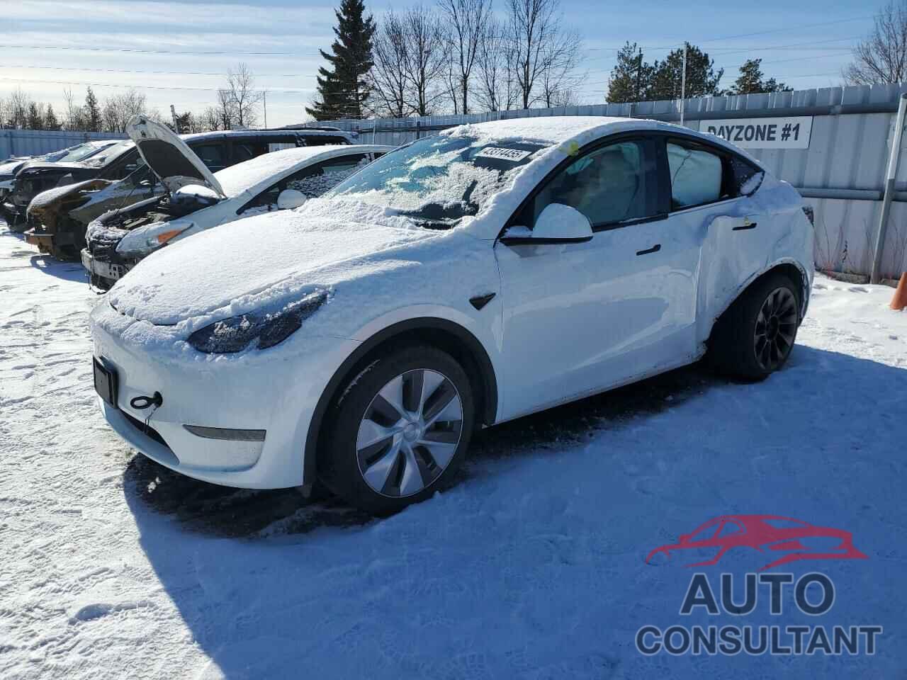 TESLA MODEL Y 2023 - LRWYGDFD2PC939804