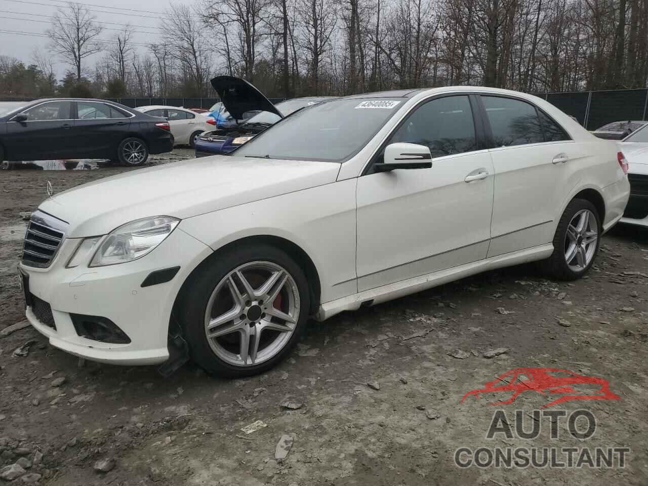 MERCEDES-BENZ E-CLASS 2011 - WDDHF9AB8BA472925