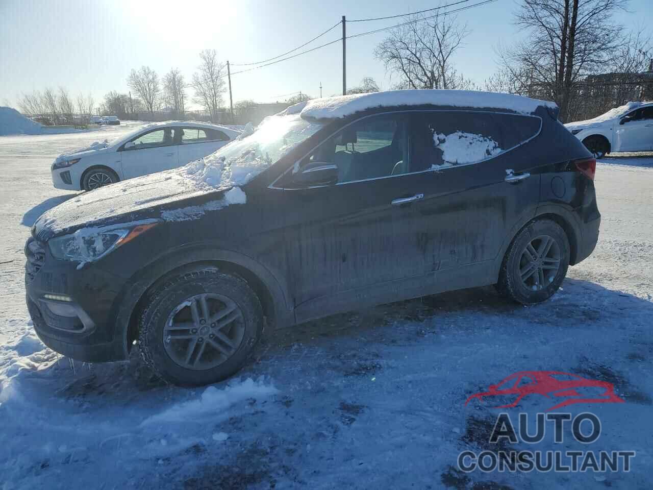 HYUNDAI SANTA FE 2017 - 5XYZUDLB7HG474856