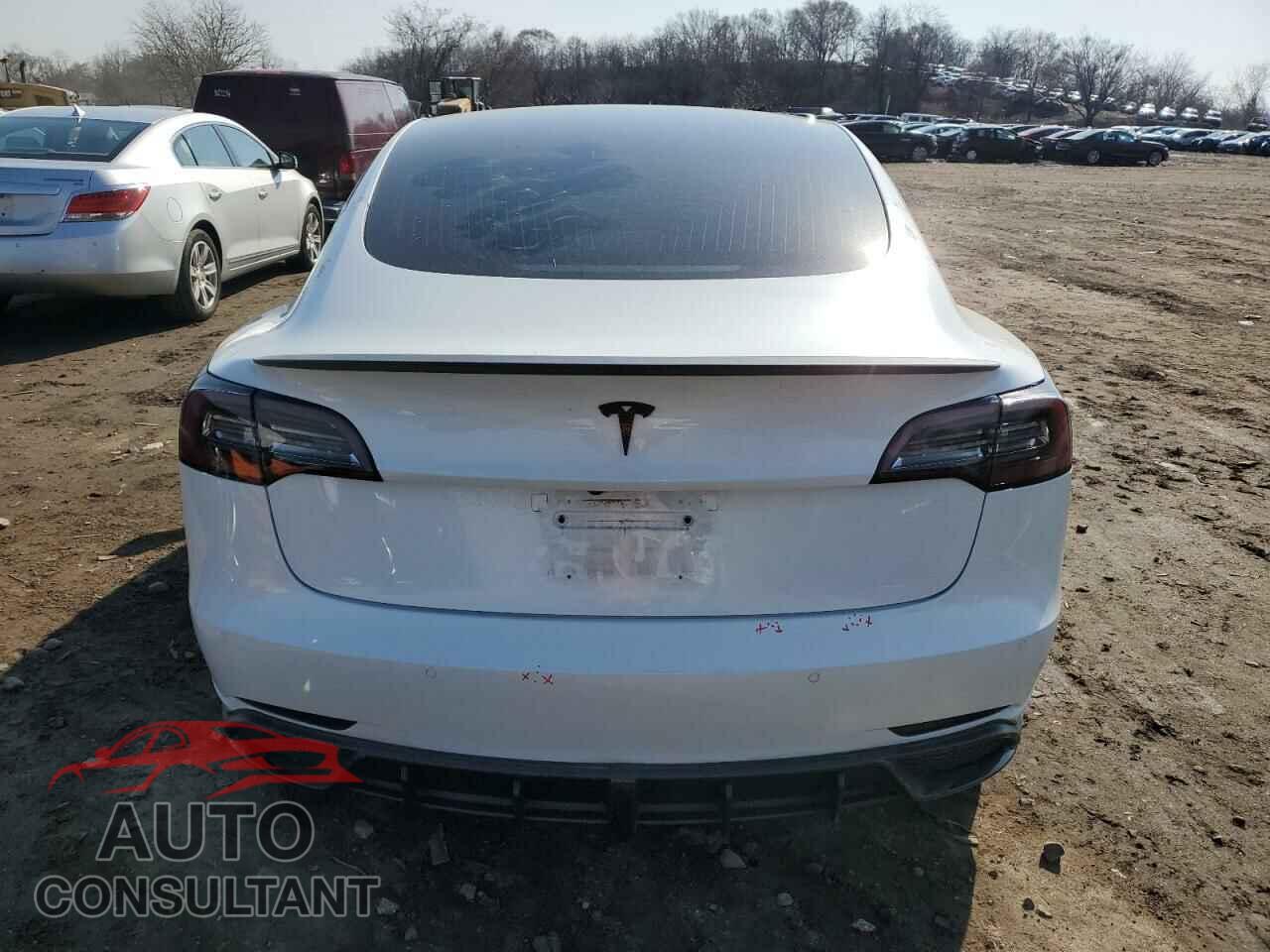 TESLA MODEL 3 2019 - 5YJ3E1EA8KF483456