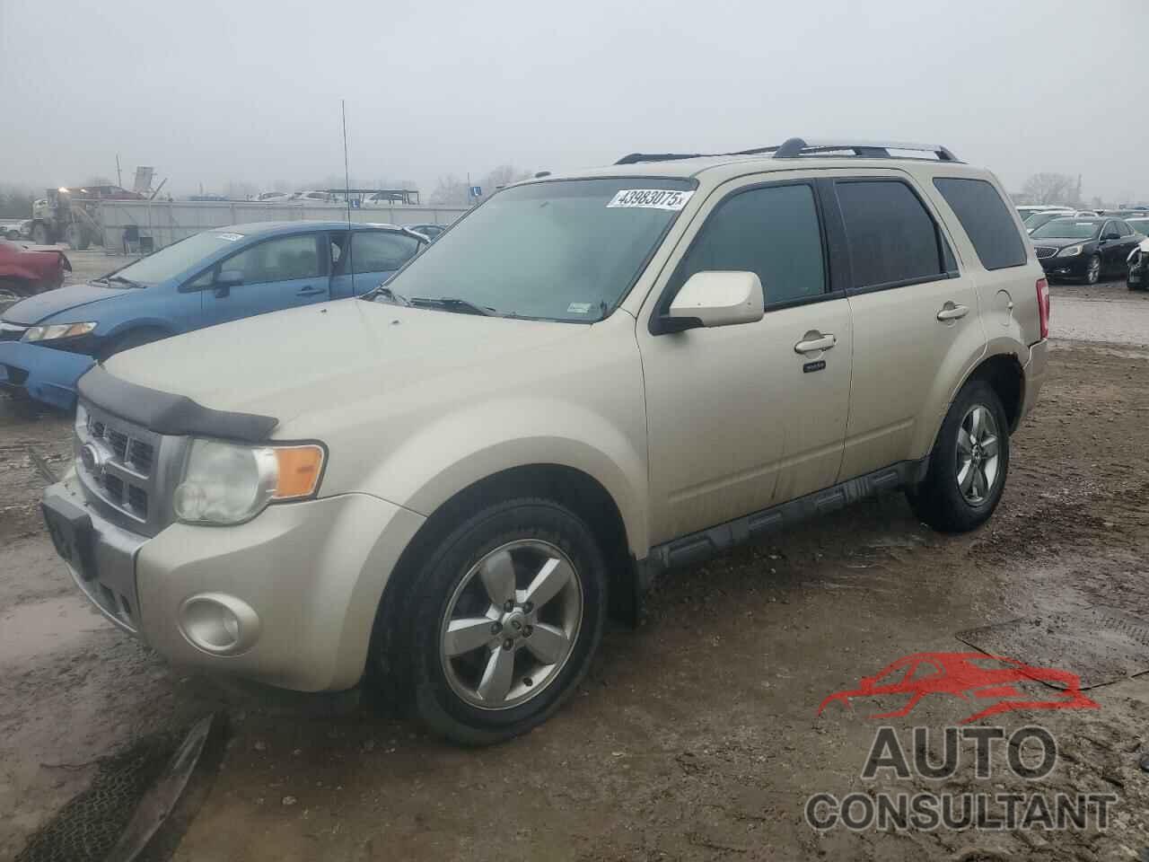 FORD ESCAPE 2011 - 1FMCU9EG1BKA62019