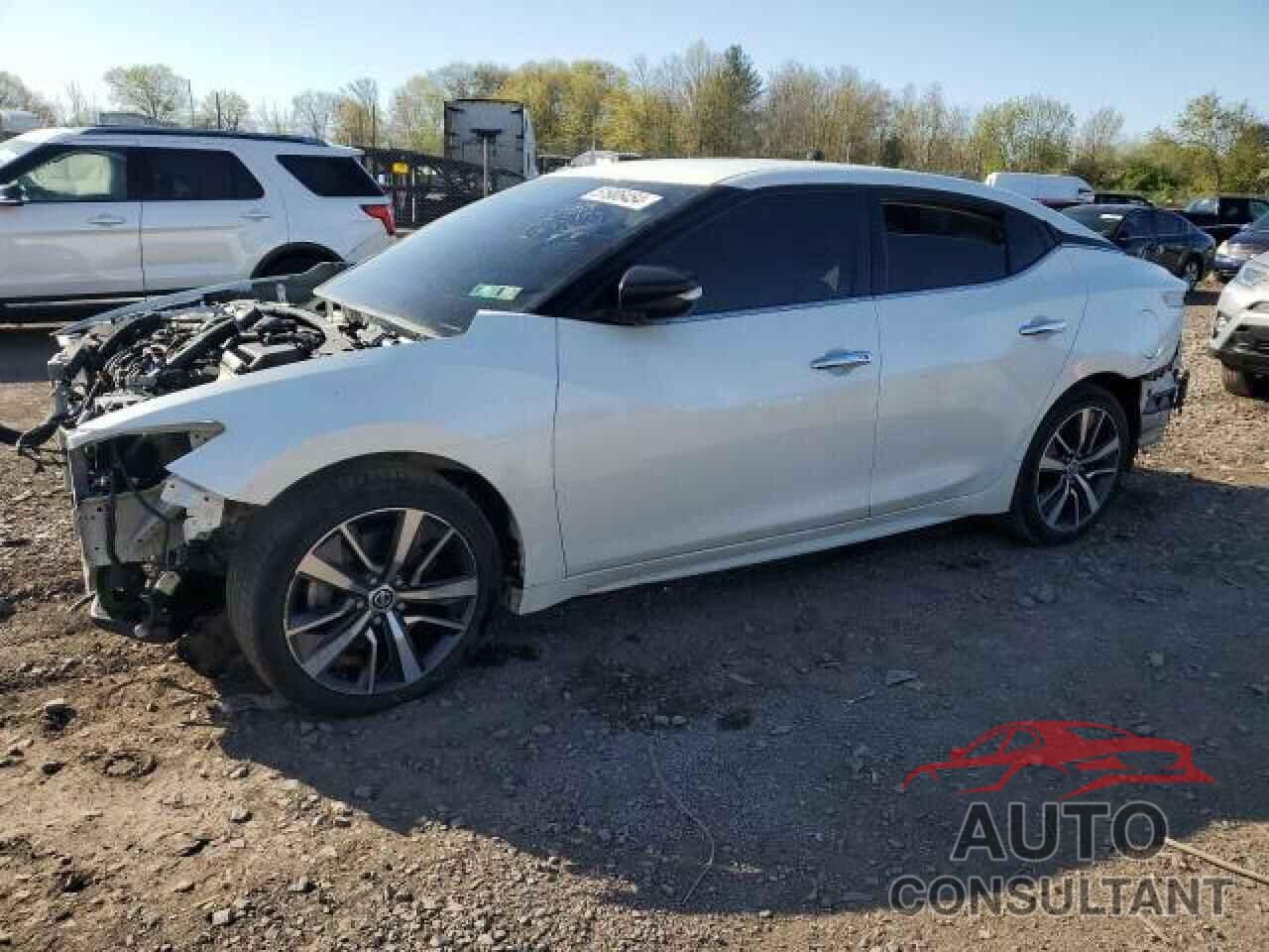 NISSAN MAXIMA 2019 - 1N4AA6AV0KC375361