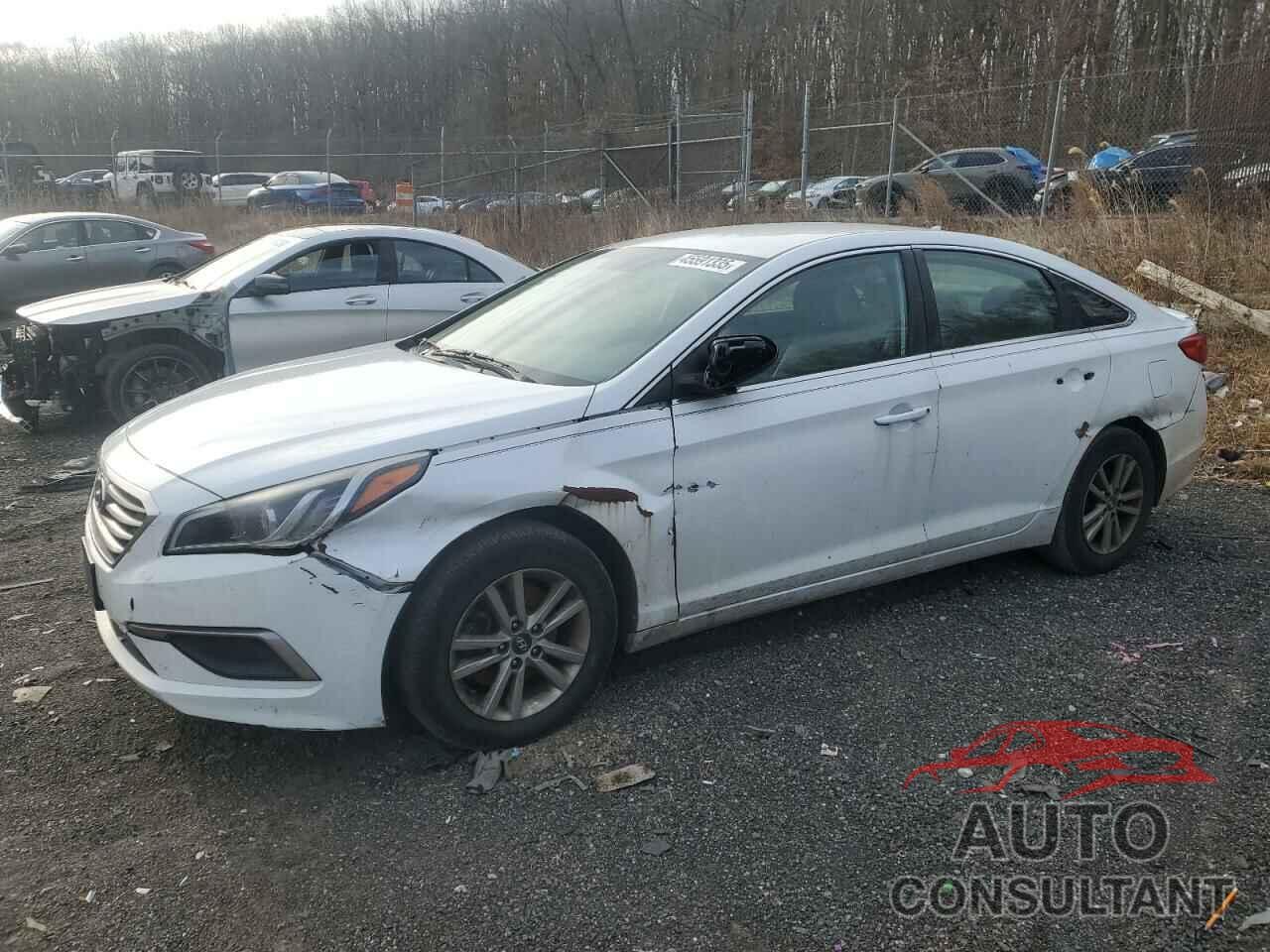 HYUNDAI SONATA 2017 - 5NPE24AF3HH534652