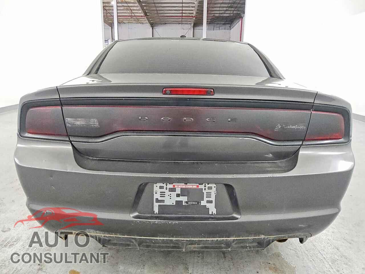 DODGE CHARGER 2014 - 2C3CDXCTXEH146929