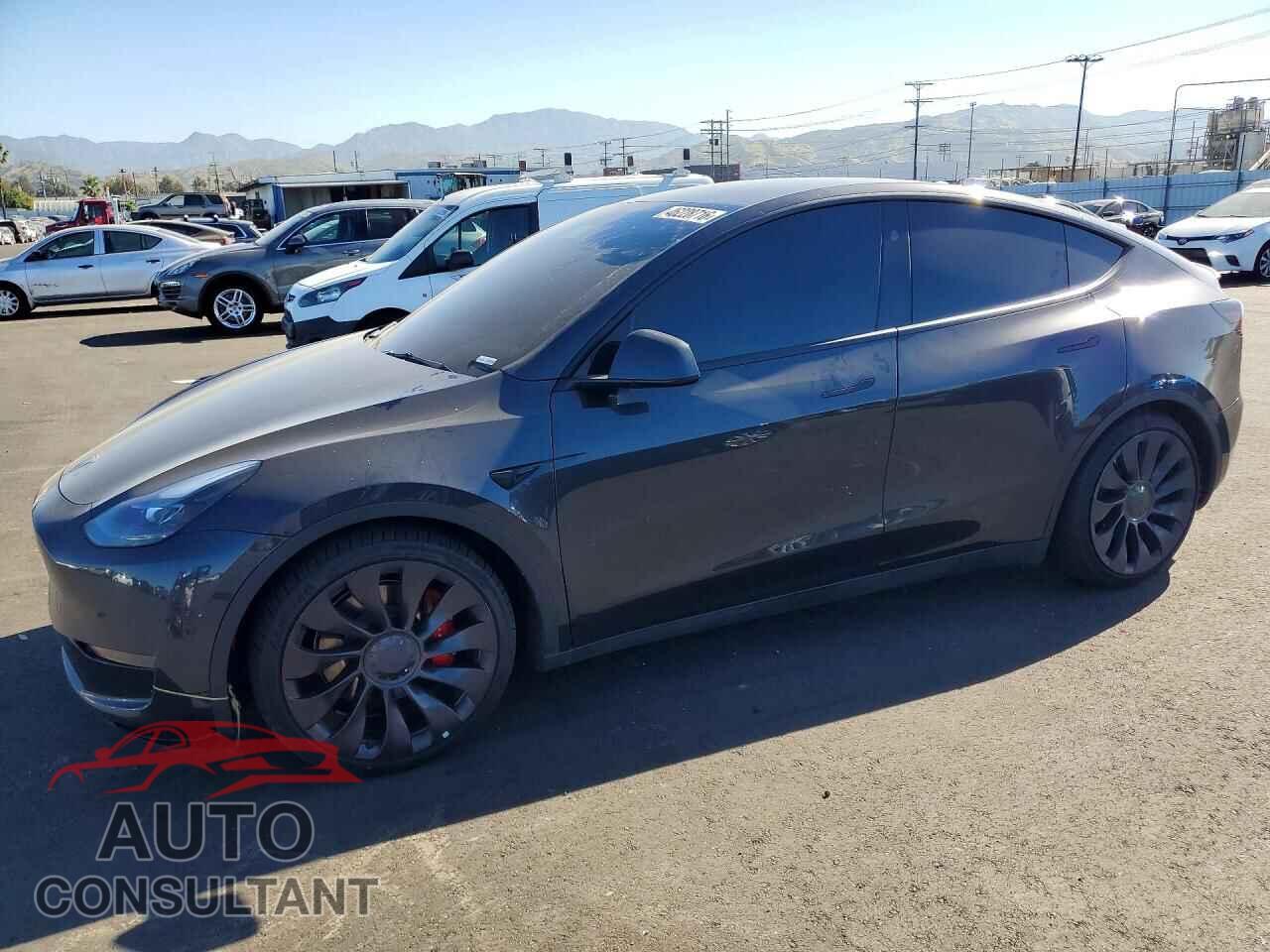TESLA MODEL Y 2024 - 7SAYGDEF7RF051337