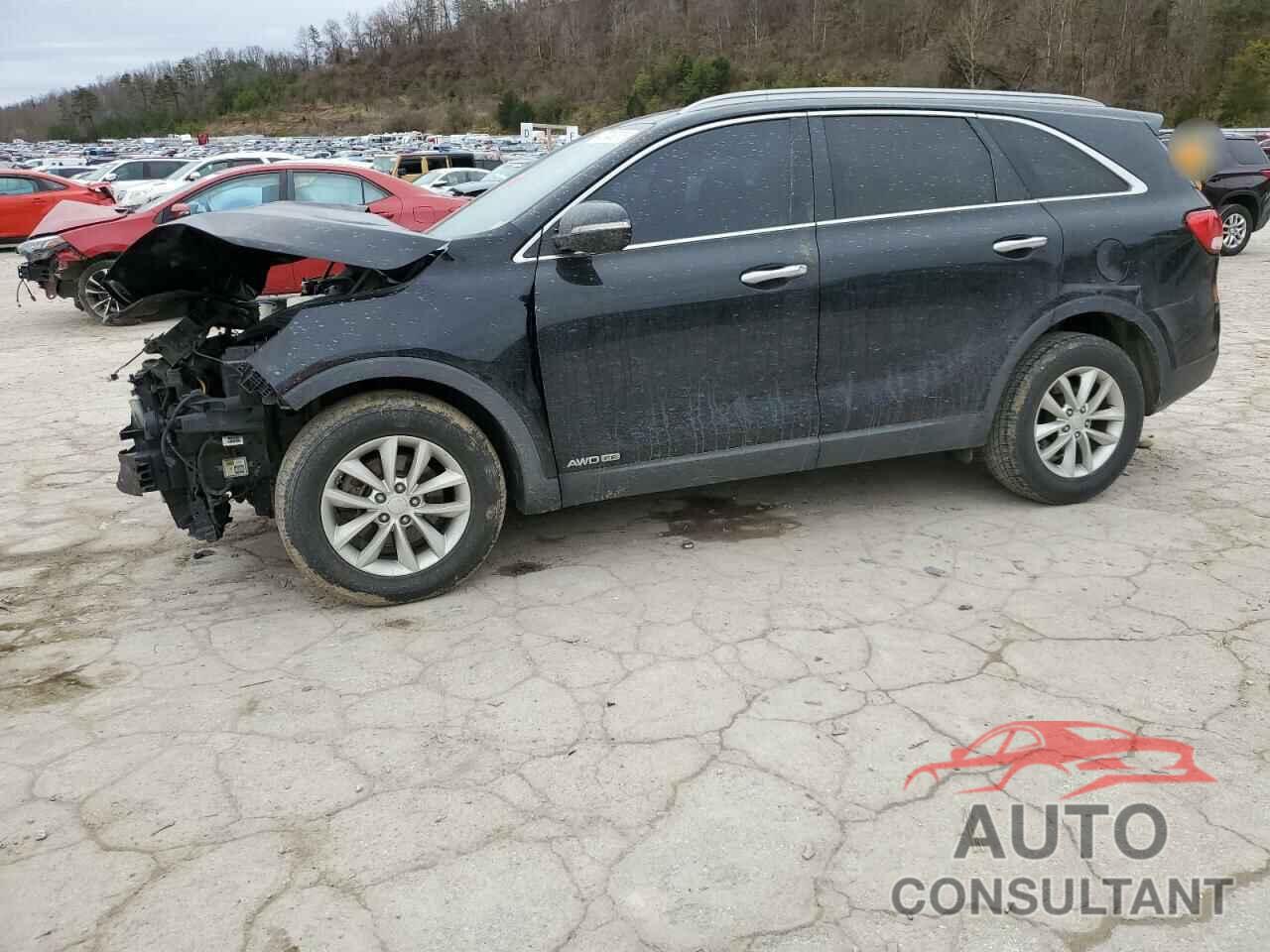 KIA SORENTO 2017 - 5XYPGDA56HG213276