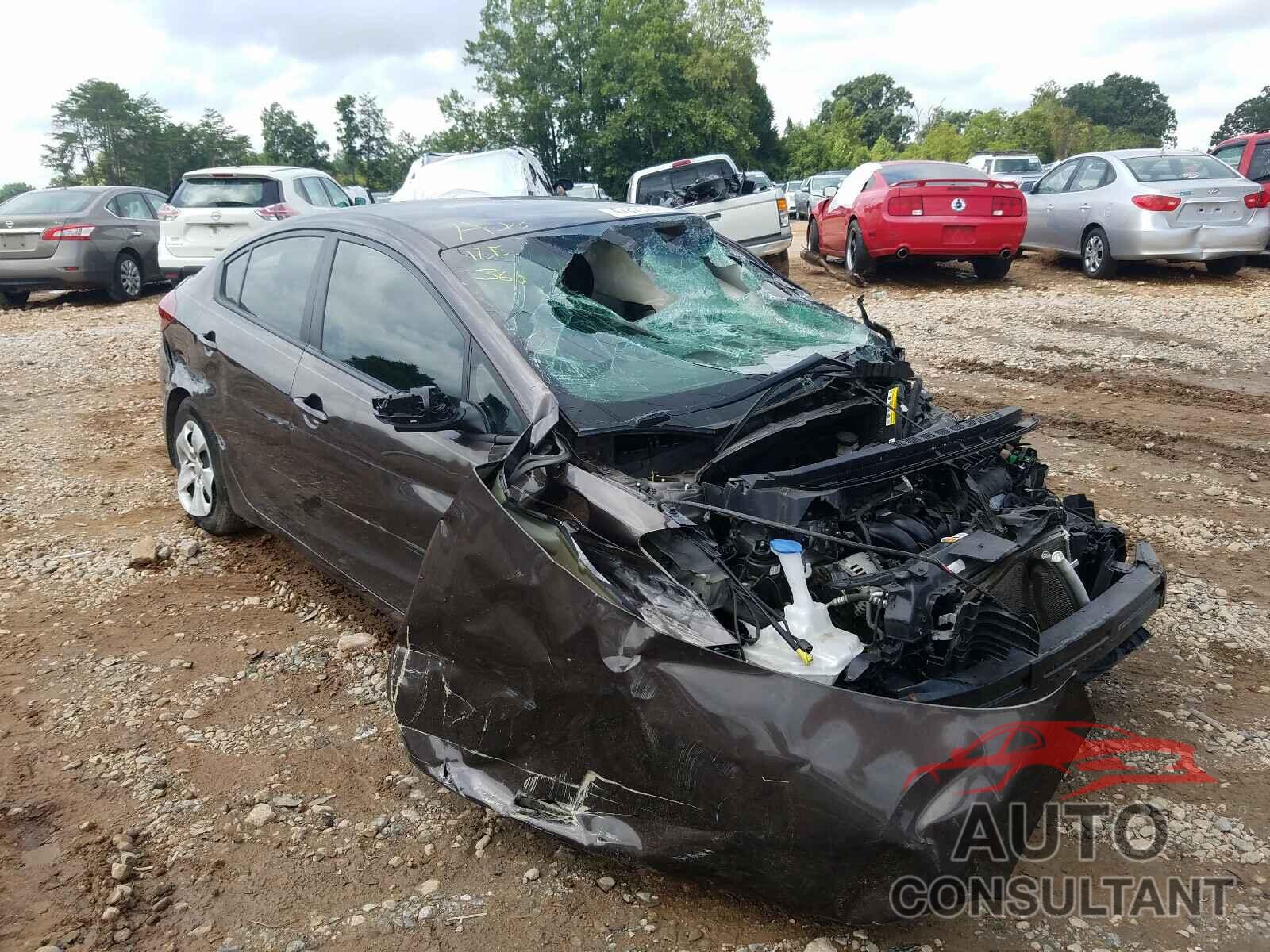 KIA FORTE 2017 - 3KPFL4A75HE074568