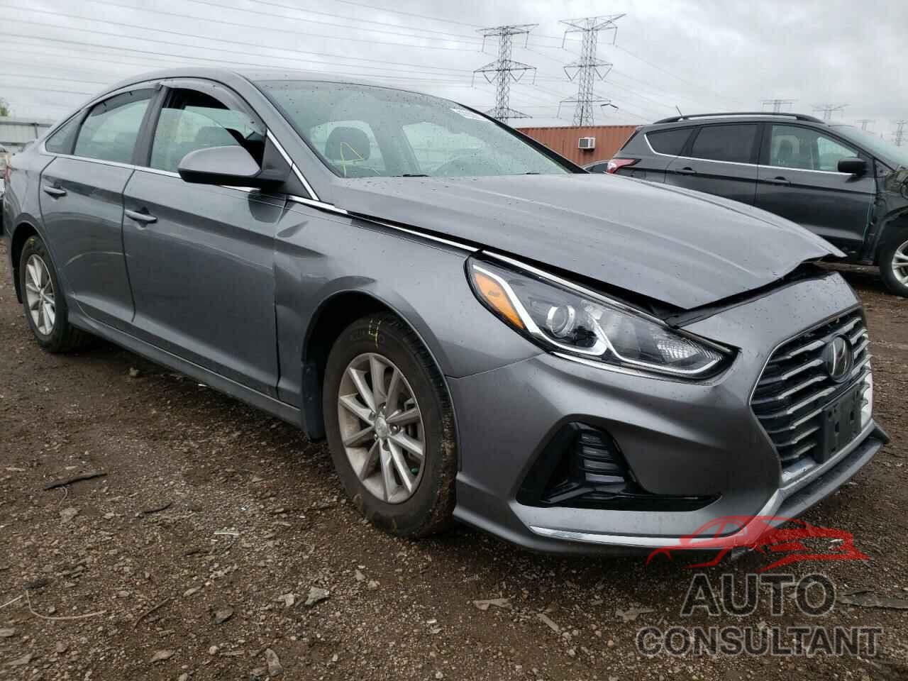 HYUNDAI SONATA 2019 - 5NPE24AFXKH762624
