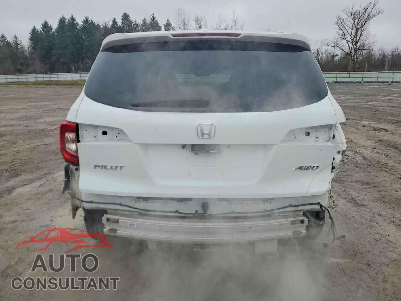 HONDA PILOT 2020 - 5FNYF6H5XLB010965