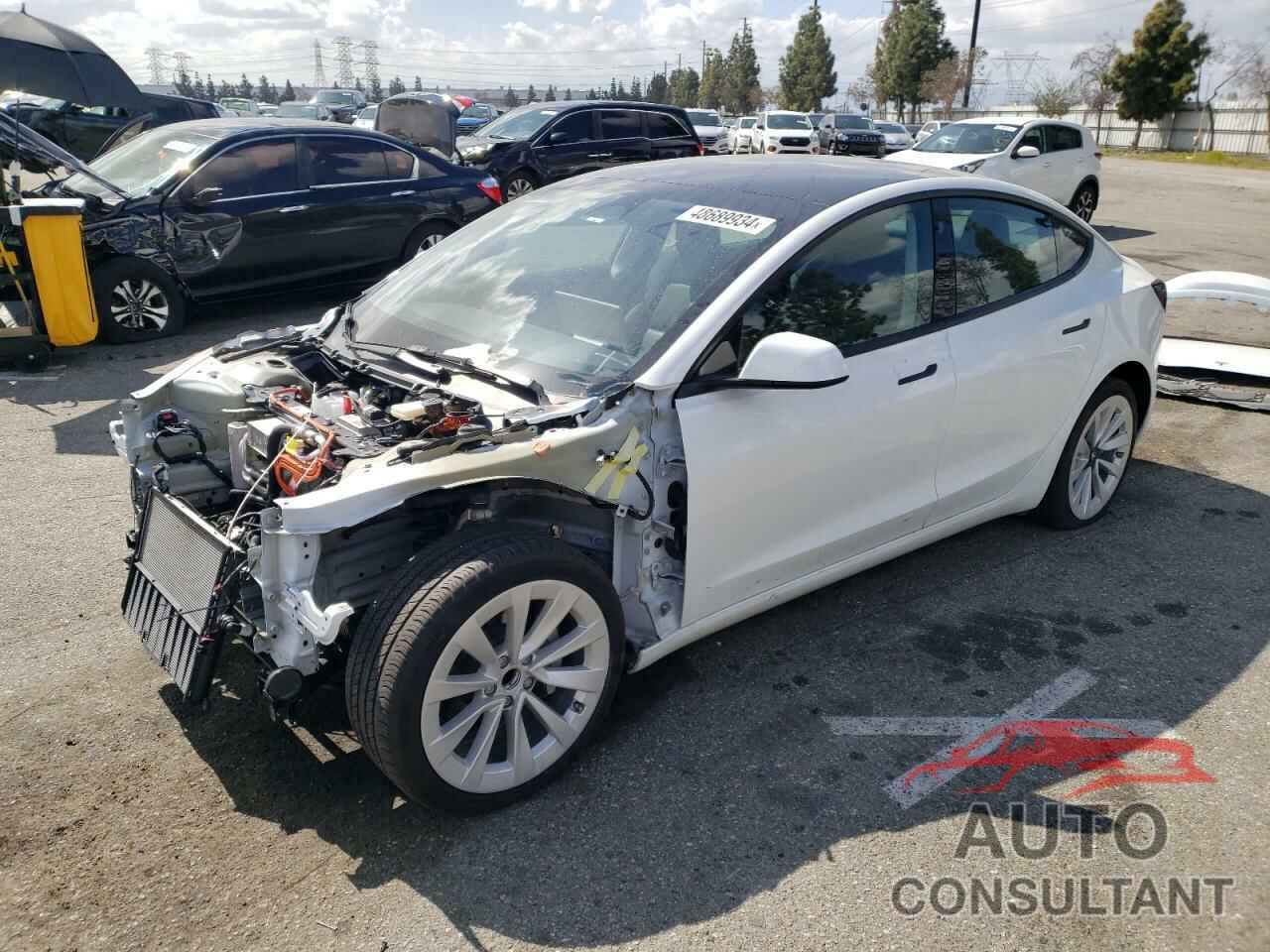 TESLA MODEL 3 2022 - 5YJ3E1EA8NF295718