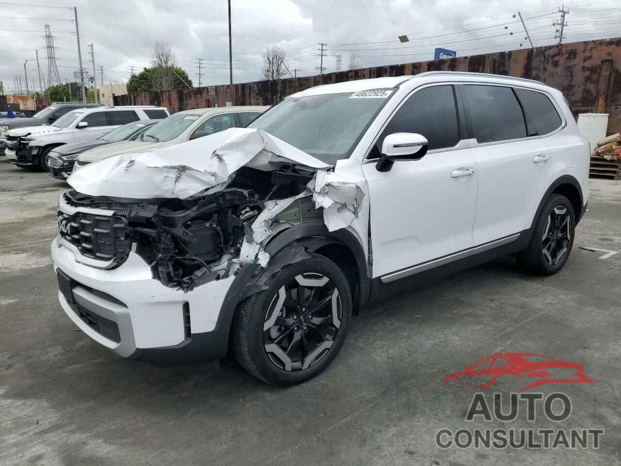 KIA TELLURIDE 2024 - 5XYP64GC0RG426069