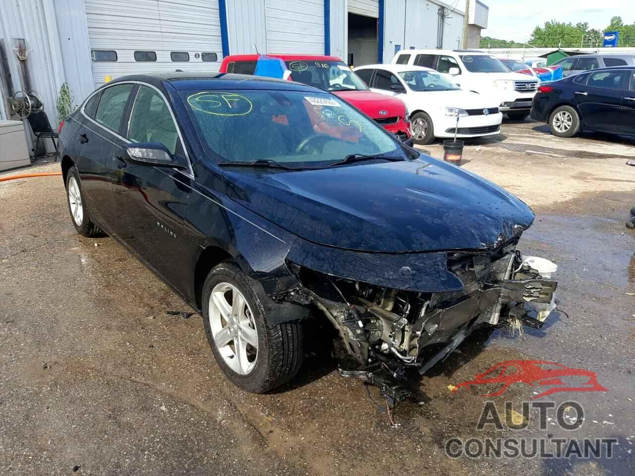 CHEVROLET MALIBU 2019 - 1G1ZB5ST6KF150757