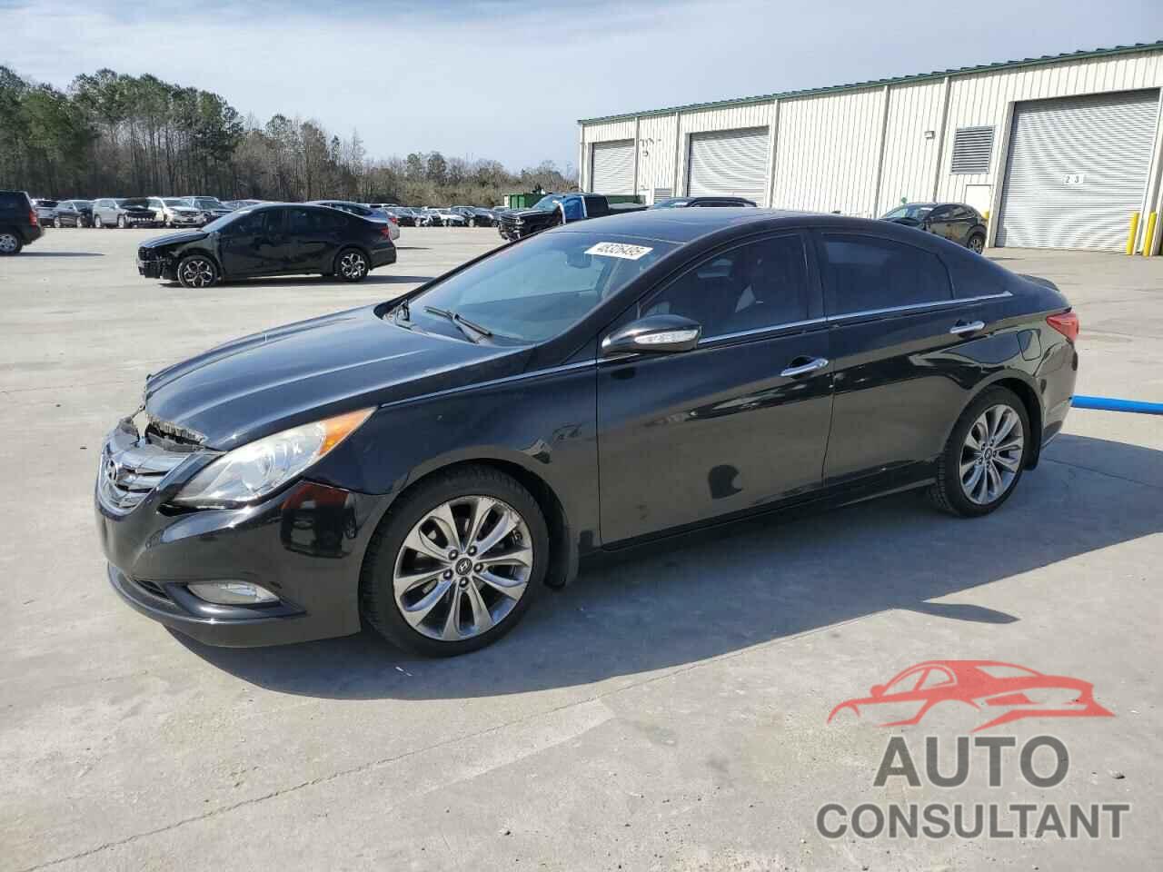 HYUNDAI SONATA 2013 - 5NPEC4ABXDH561545