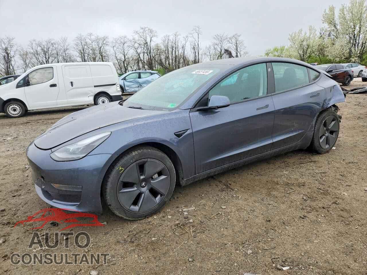 TESLA MODEL 3 2021 - 5YJ3E1EA5MF100169