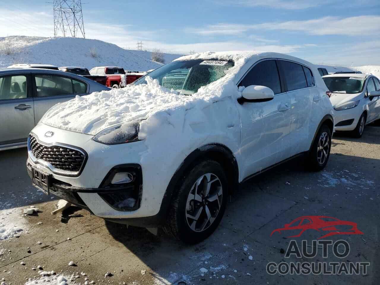 KIA SPORTAGE 2022 - KNDPMCAC8N7983750