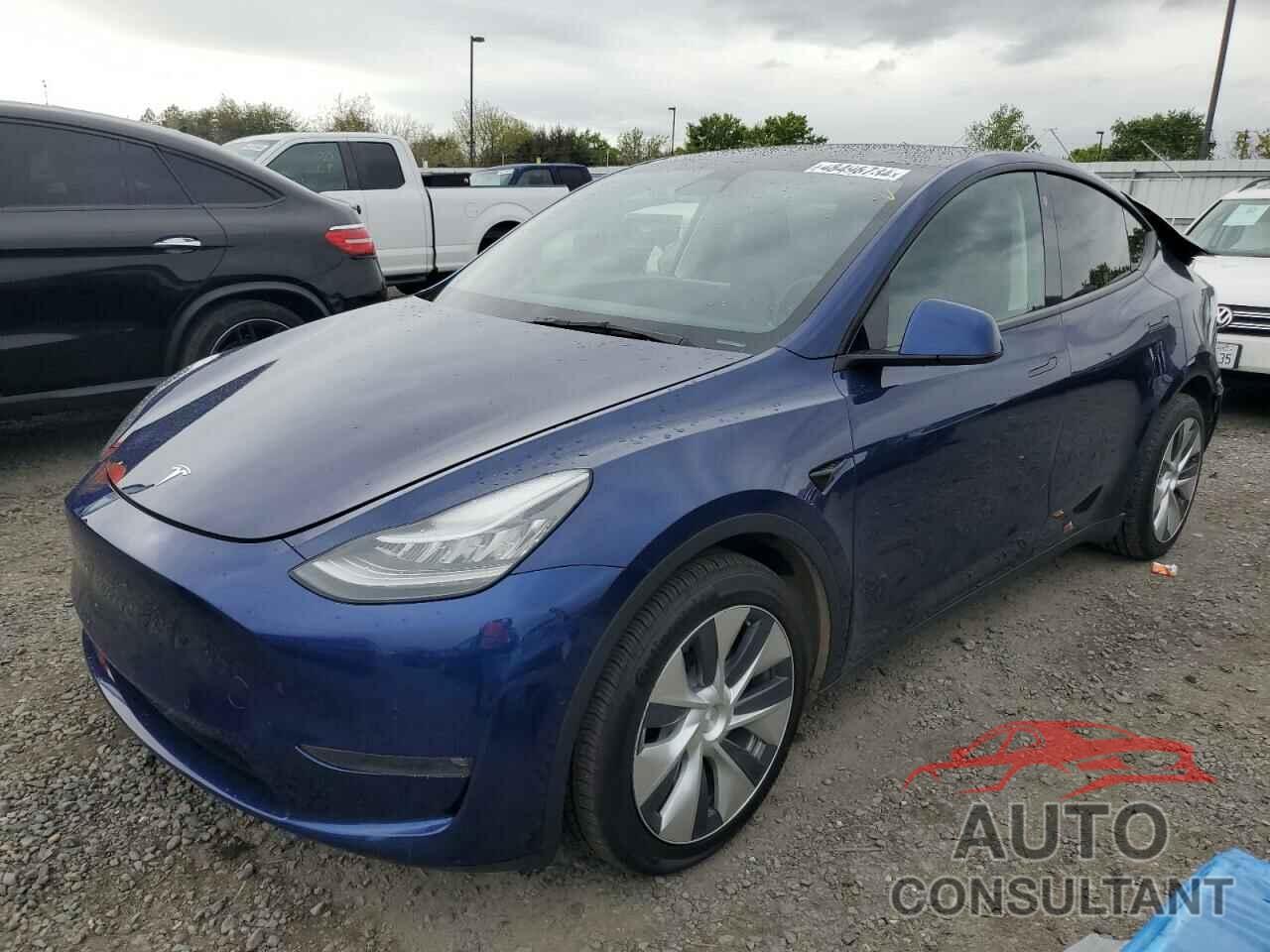 TESLA MODEL Y 2021 - 5YJYGDEE8MF146566