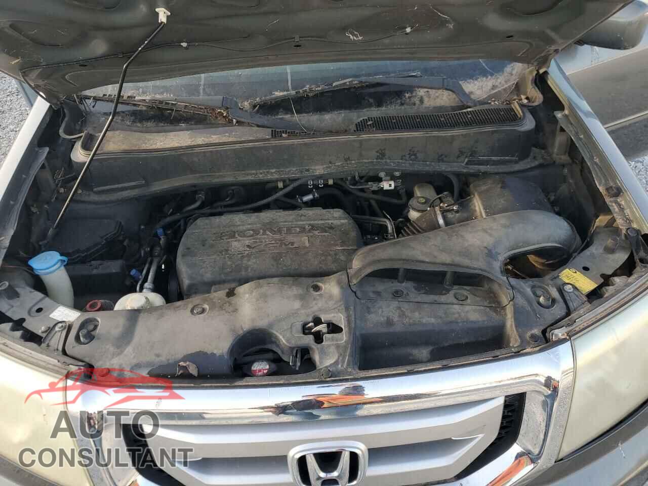 HONDA PILOT 2009 - 5FNYF48409B046829