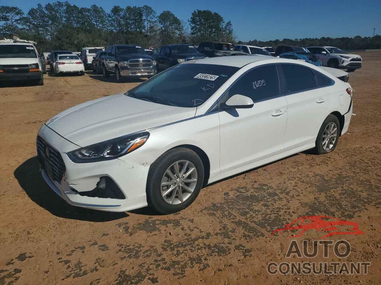 HYUNDAI SONATA 2019 - 5NPE24AF6KH790159