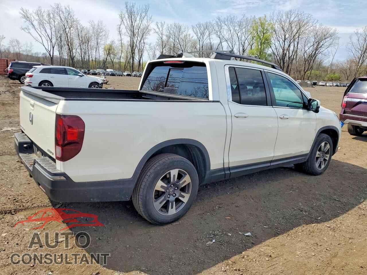 HONDA RIDGELINE 2019 - 5FPYK3F64KB024856