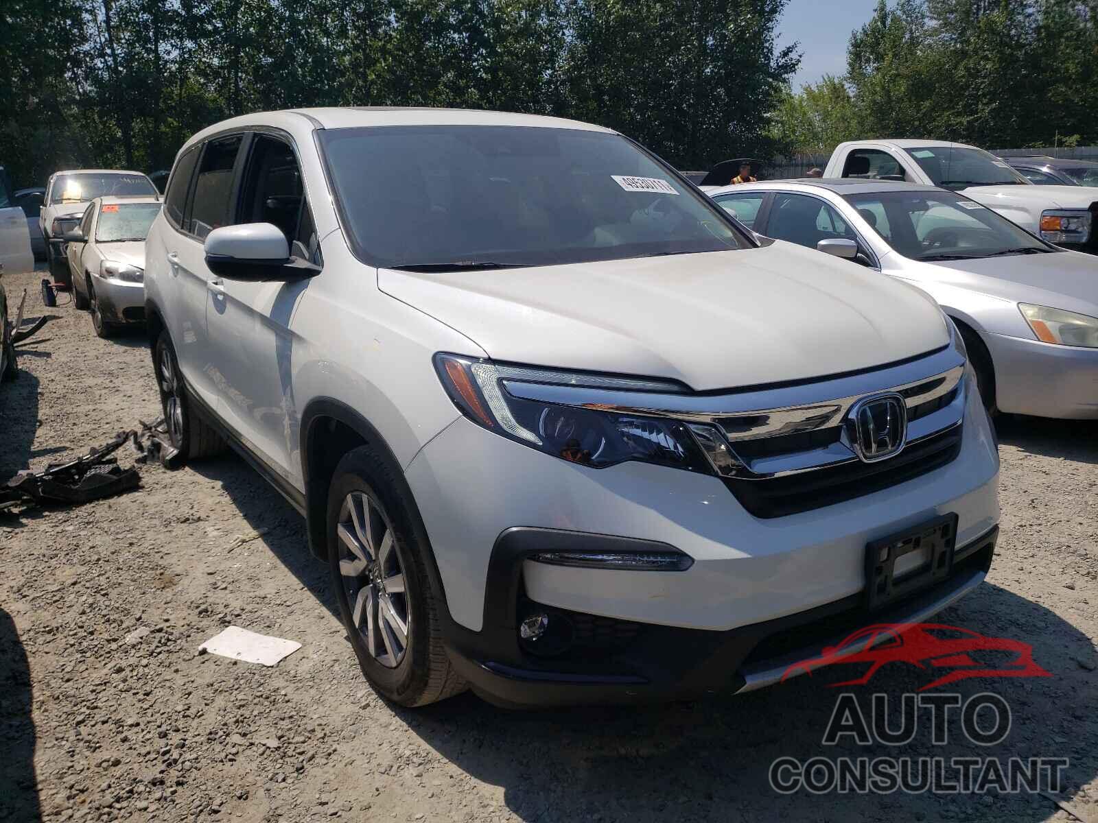 HONDA PILOT 2019 - 5FNYF6H52KB076795