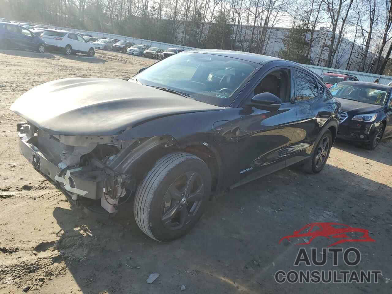 FORD MUSTANG 2021 - 3FMTK1SS6MMA65624