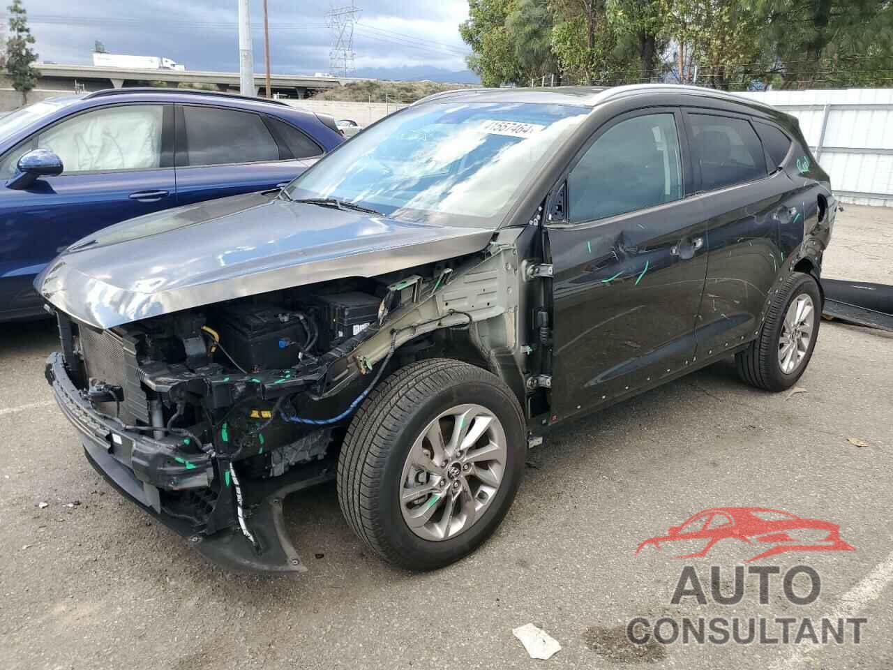 HYUNDAI TUCSON 2017 - KM8J33A43HU442012