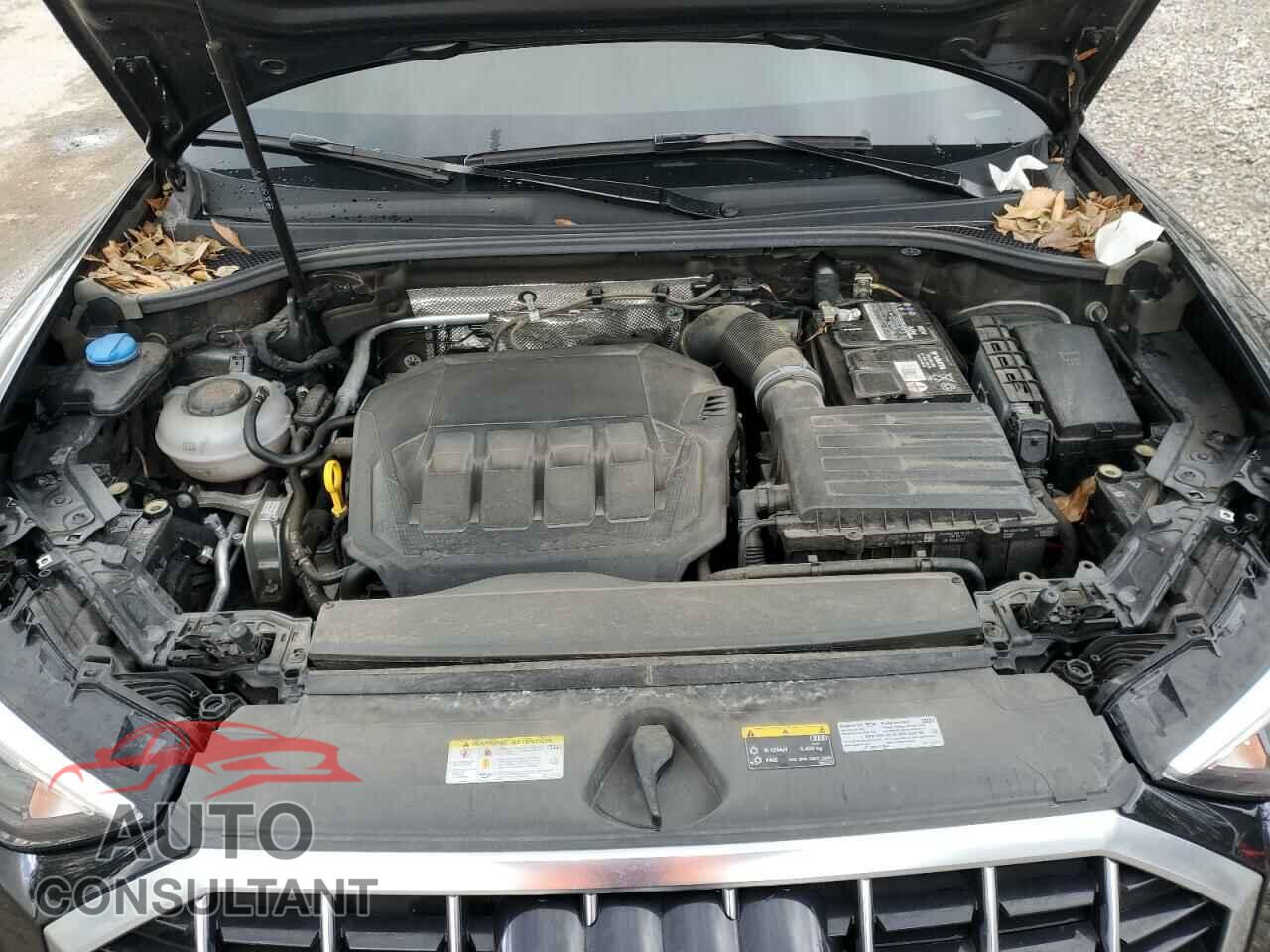 AUDI Q3 2022 - WA1DECF31N1069233
