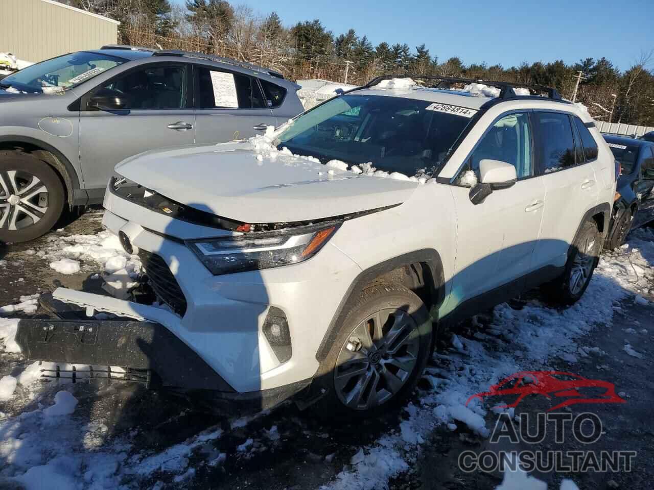 TOYOTA RAV4 2024 - 2T3A1RFV3RW416707