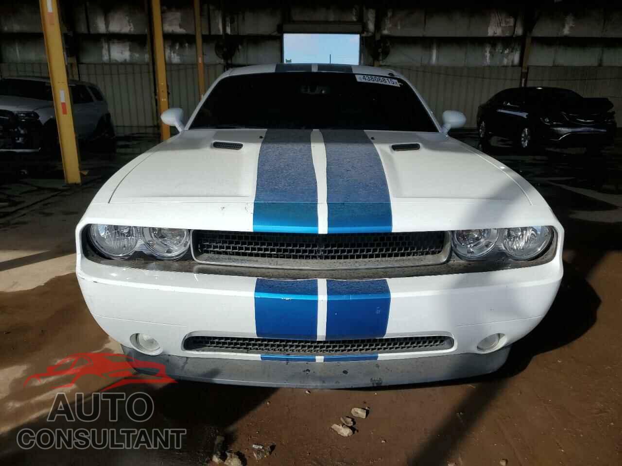 DODGE CHALLENGER 2012 - 2C3CDYAG2CH254695