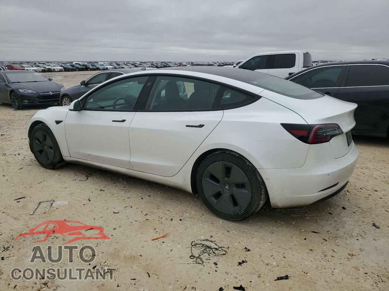 TESLA MODEL 3 2021 - 5YJ3E1EA3MF853649