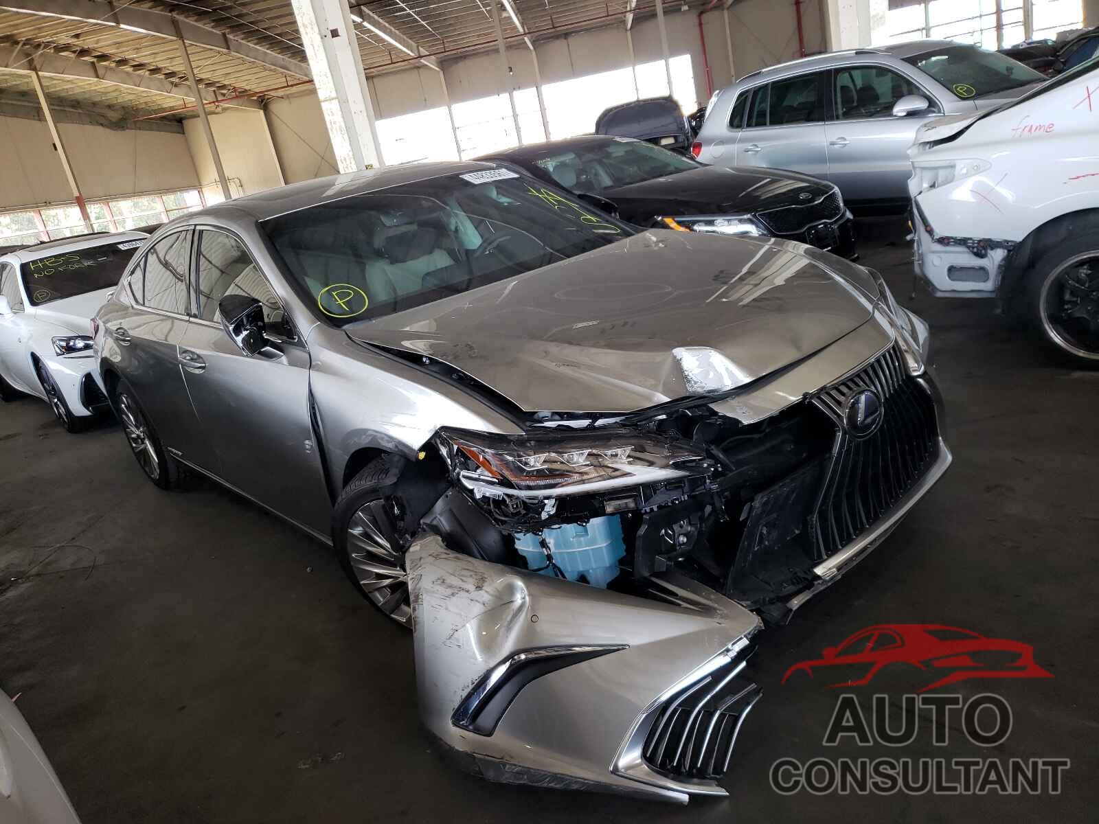 LEXUS ES300 2021 - 58AEA1C10MU004517