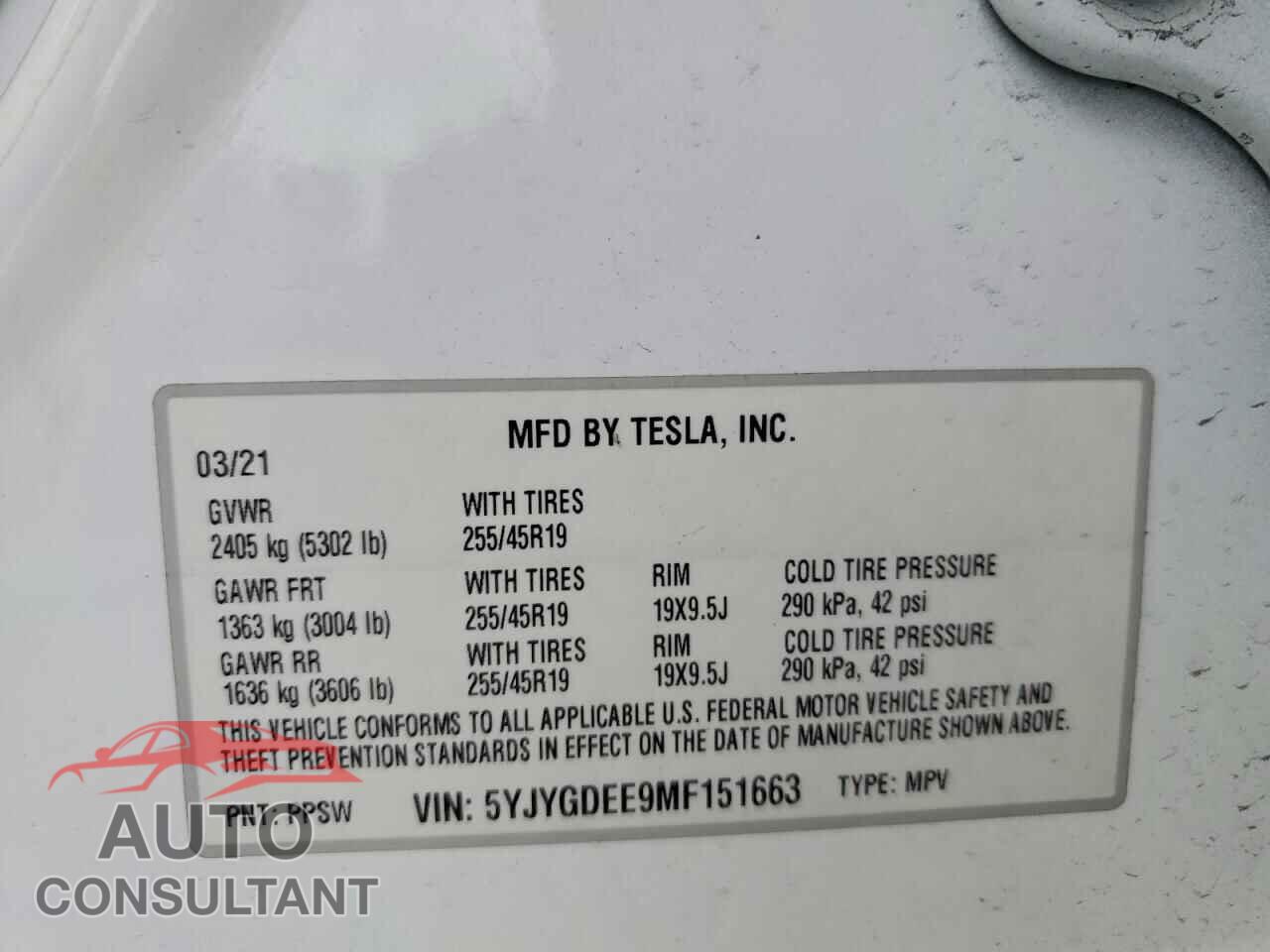 TESLA MODEL Y 2021 - 5YJYGDEE9MF151663