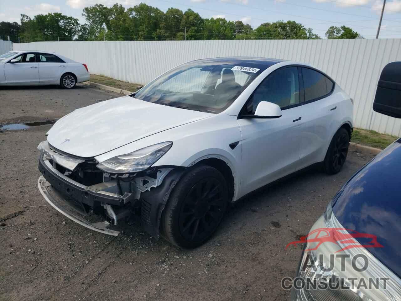 TESLA MODEL Y 2021 - 5YJYGDEE6MF087033