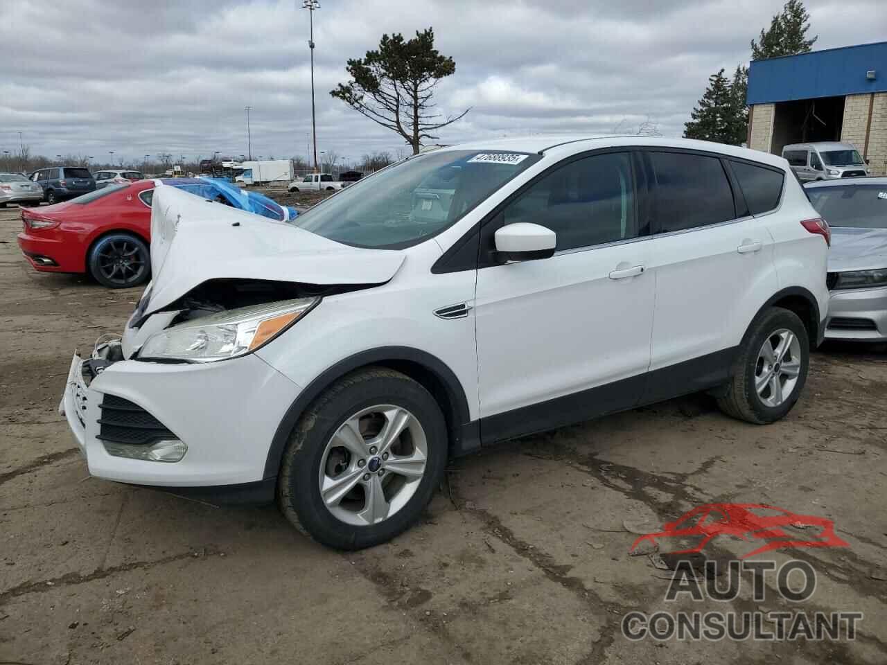 FORD ESCAPE 2014 - 1FMCU9GX4EUD58836