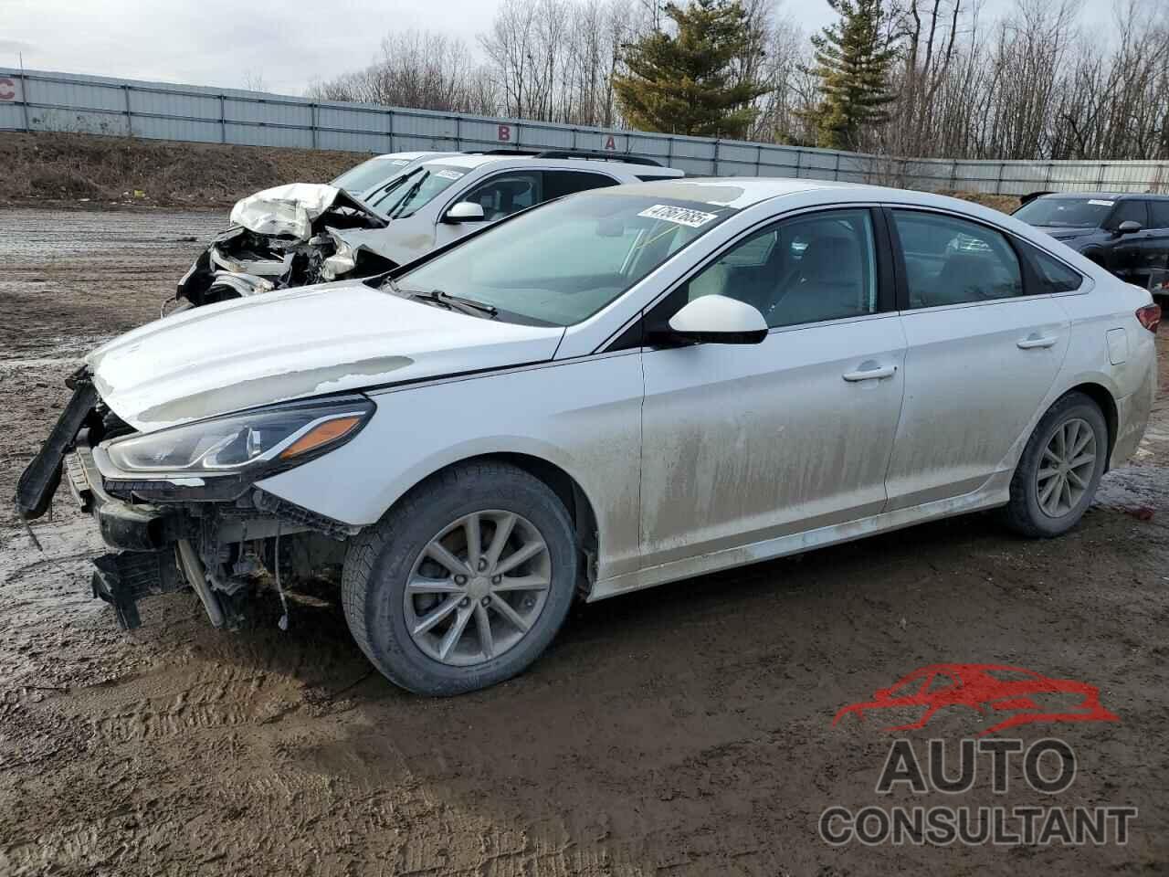 HYUNDAI SONATA 2018 - 5NPE24AF4JH598351