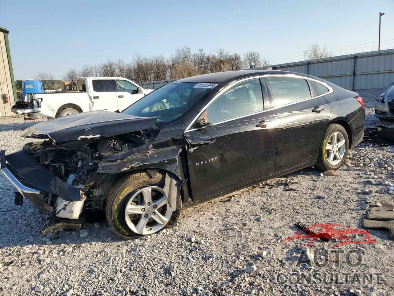 CHEVROLET MALIBU 2019 - 1G1ZB5ST4KF145377