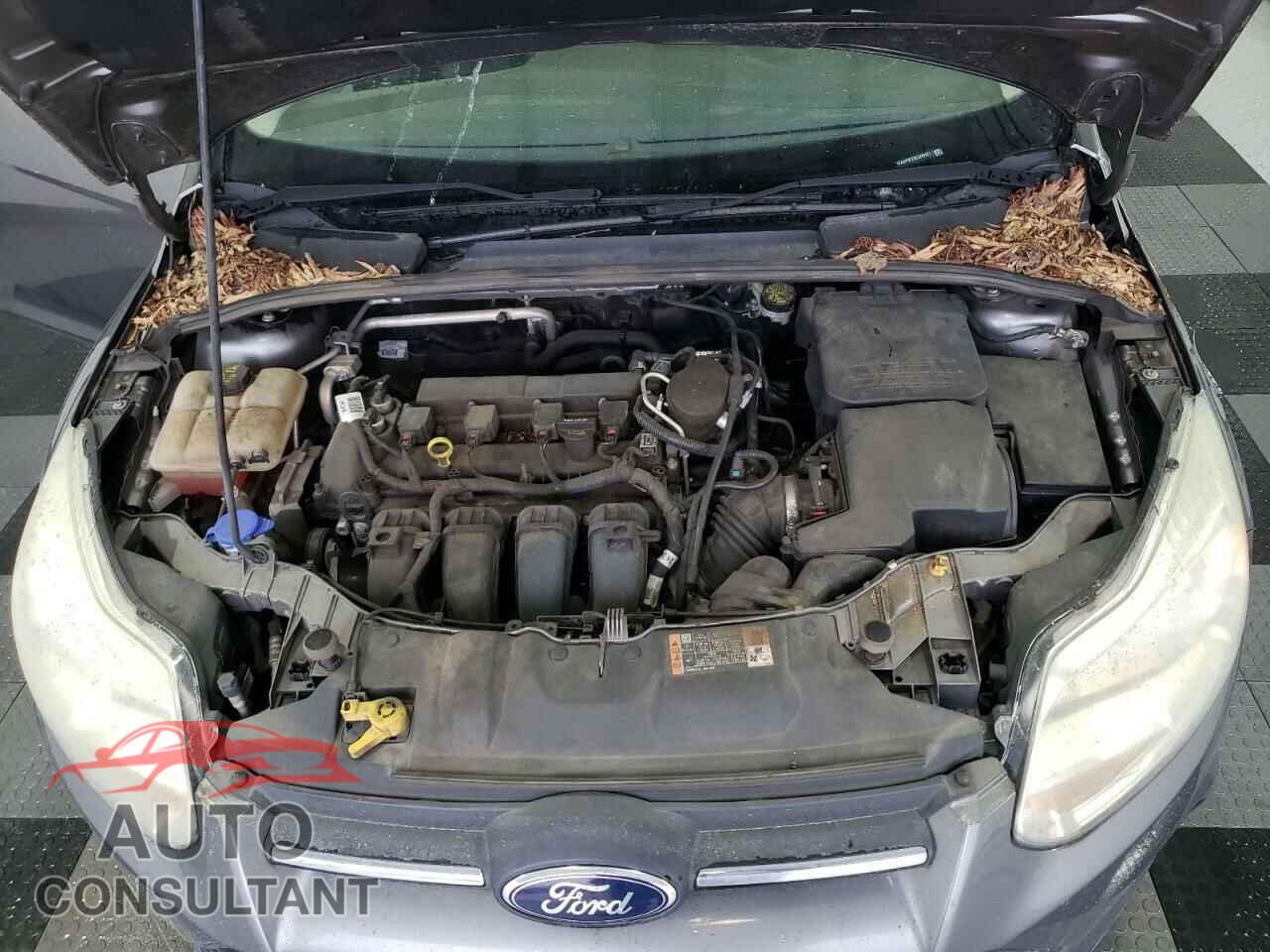 FORD FOCUS 2014 - 1FADP3F23EL370121