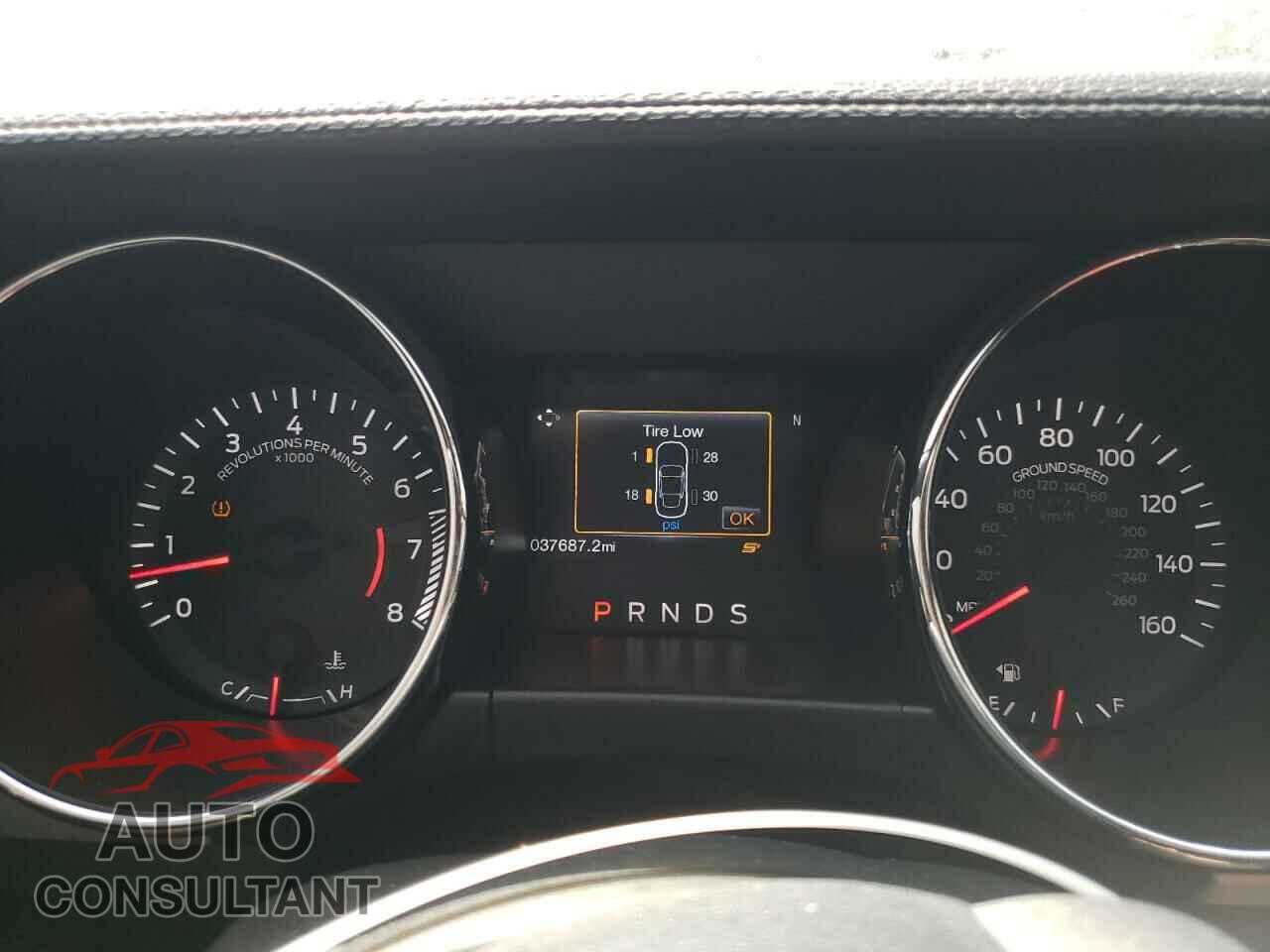FORD MUSTANG 2015 - 1FA6P8CF1F5388359
