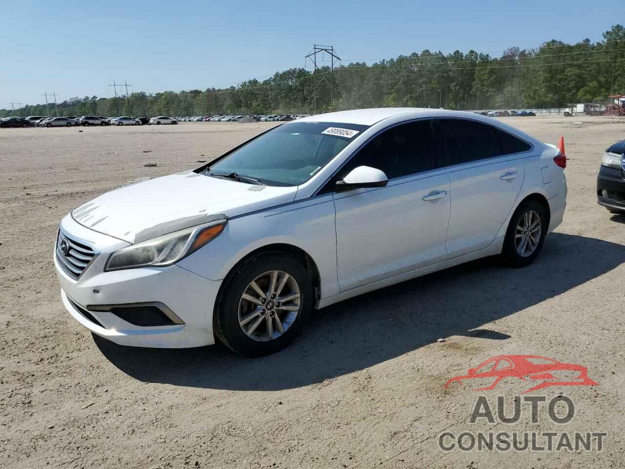 HYUNDAI SONATA 2017 - 5NPE24AFXHH532980
