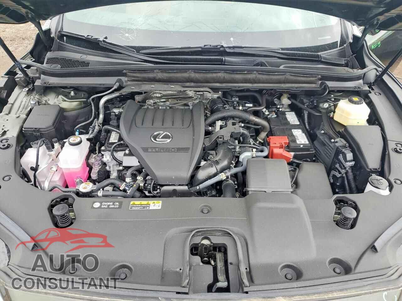 LEXUS RX350 2025 - 2T2BAMCA5SC117952