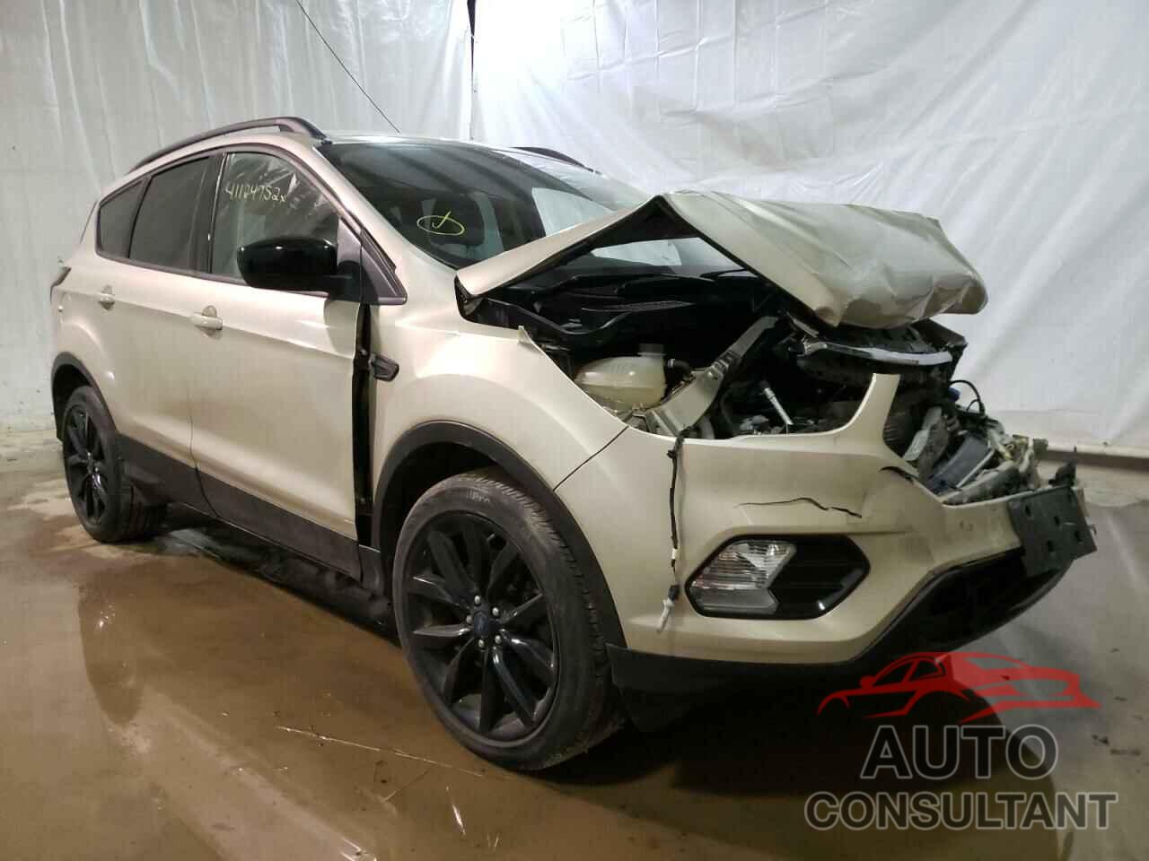 FORD ESCAPE 2017 - 1FMCU9GD4HUB72143