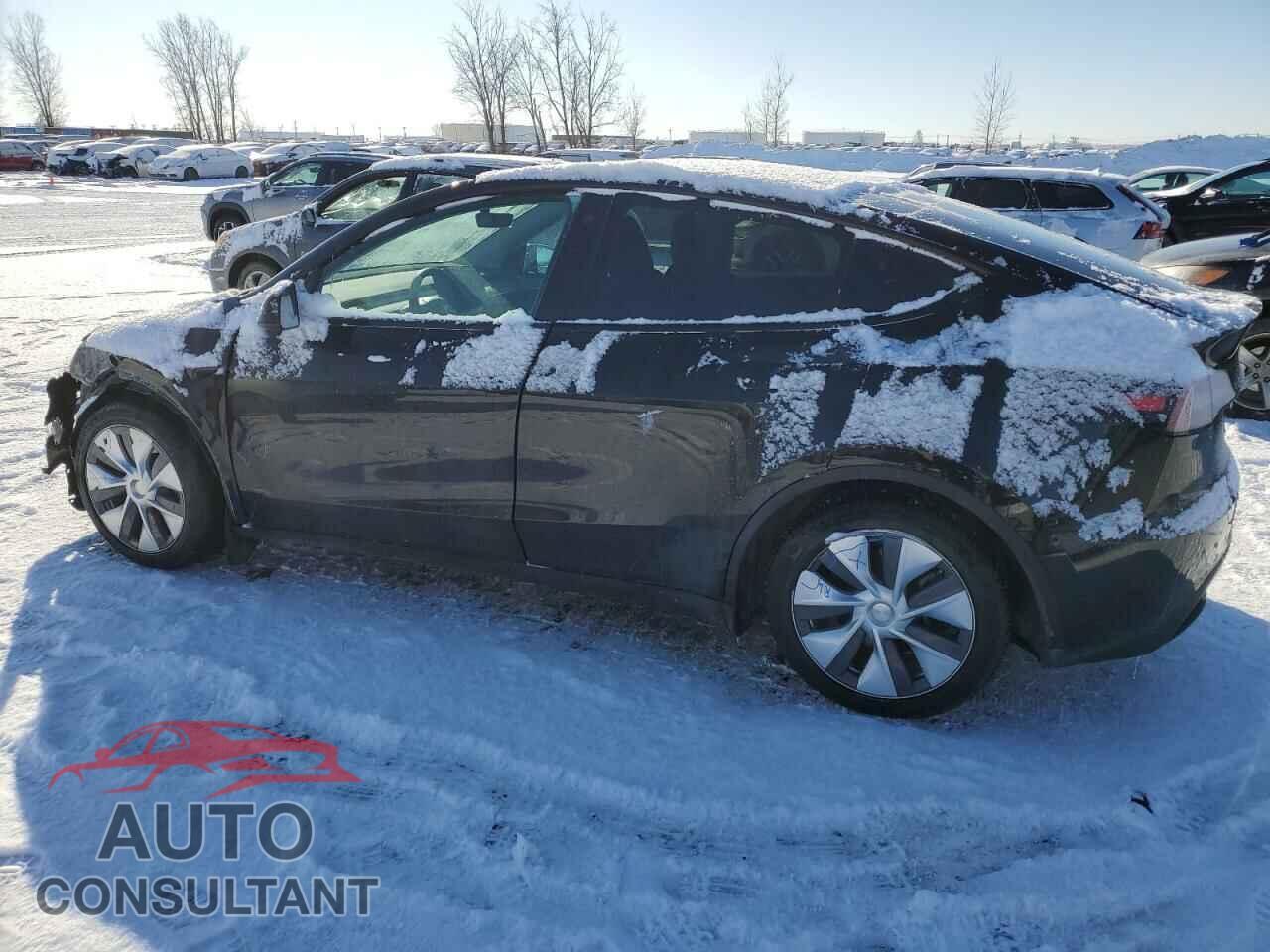 TESLA MODEL Y 2023 - LRWYGDFD3PC966946