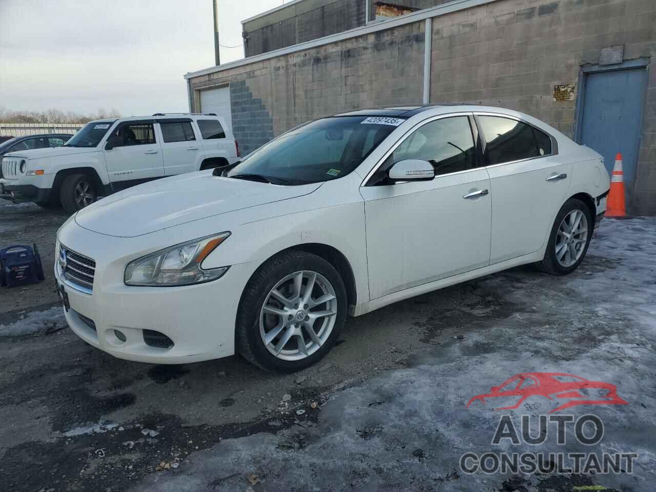 NISSAN MAXIMA 2011 - 1N4AA5AP9BC840974