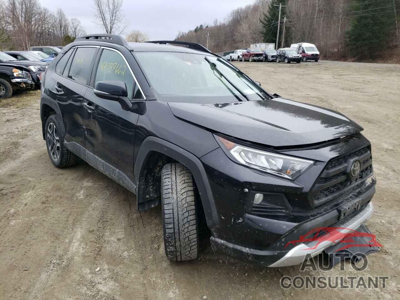 TOYOTA RAV4 2019 - 2T3J1RFVXKW017654