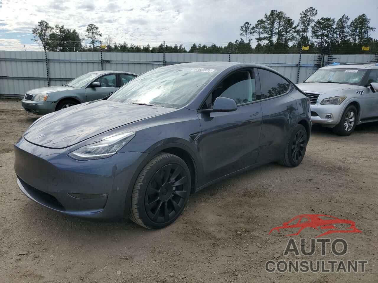 TESLA MODEL Y 2022 - 7SAYGAEE6NF570055