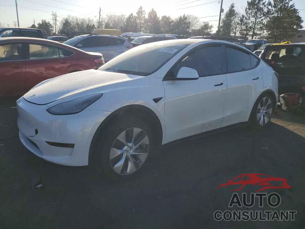 TESLA MODEL Y 2021 - 5YJYGDEE7MF077658