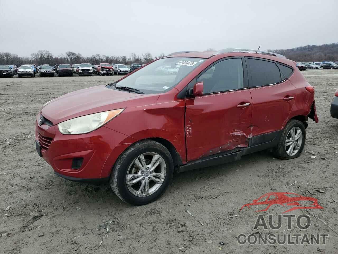 HYUNDAI TUCSON 2010 - KM8JU3AC6AU111161